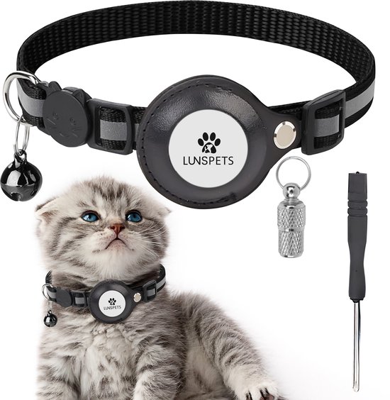 Schattig grijs kitten met blauwe ogen, draagt zwarte halsband met tracker, belletje en naamplaatje.