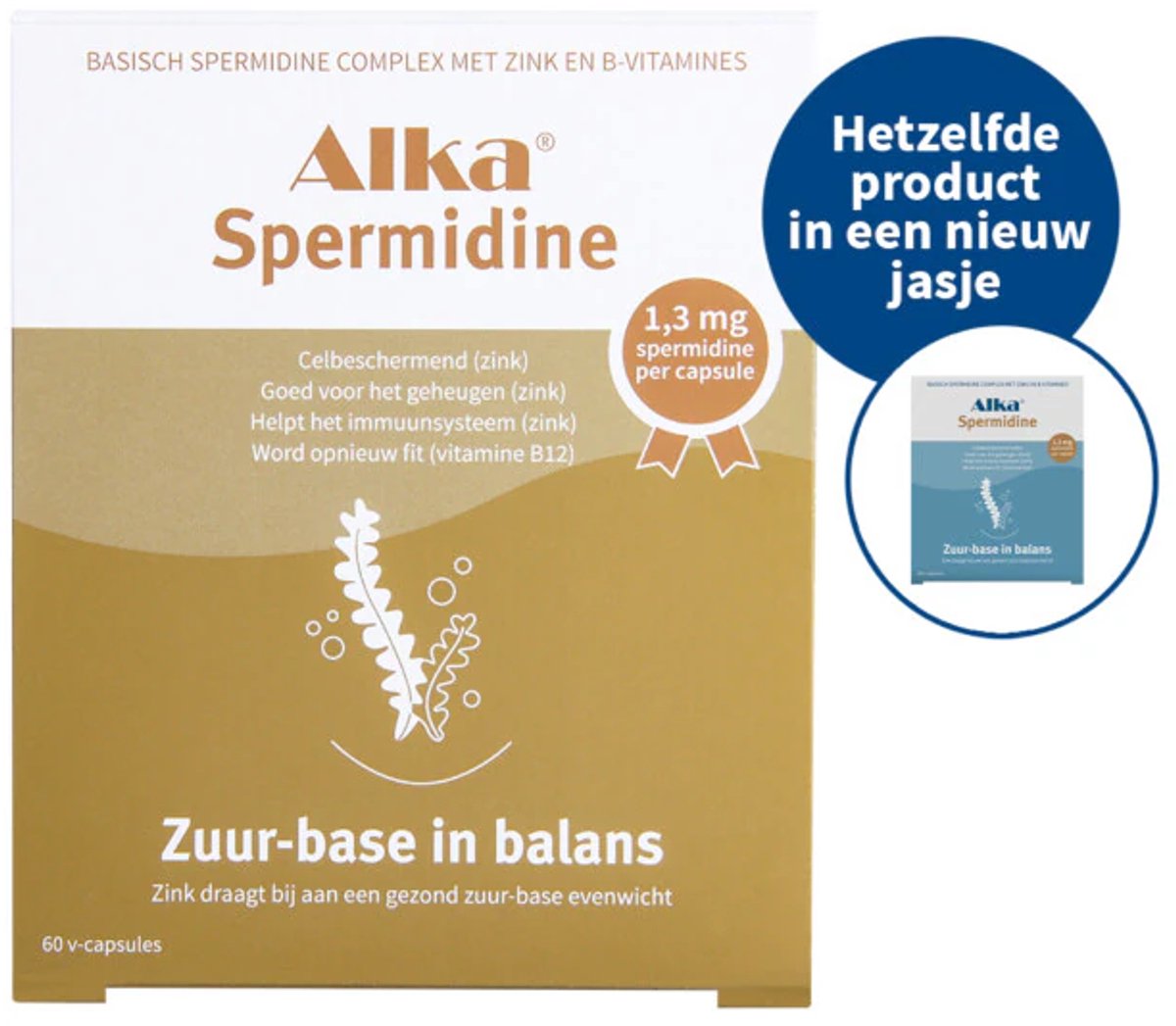 Goedkoopste Alka® Spermidine - 1.3mg Spermidine per capsule - Hoge dosering spermidine - 60 capsules - Basisch Spermidine complex met B-Vitamines en zink