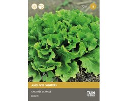 Tuin de Bruijn® zaden - Andijvie - winterandijvie, breedbladig - 1,2 gram zaden