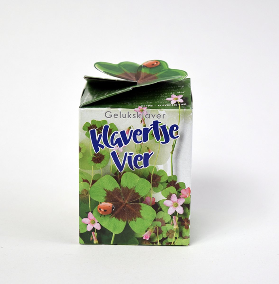 Klavertje Vier Plantje - Per Stuk - Klavertje 4 - Hoge Kwaliteit - Greengift - Cadeau - Geluk / Lucky Clover - Klavertje Vier in Terracotta Potje - Potje met Zaadjes - Geschenk Verpakking - Bloemzaadjes / Plant Zaden - Doosje Geluk - Geluksklavertje