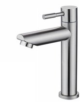 Badkraan - Alleen koud water - Verchroomde koperen kraan met uitneembare perlator - Voor wastafel badkamer - Zilver