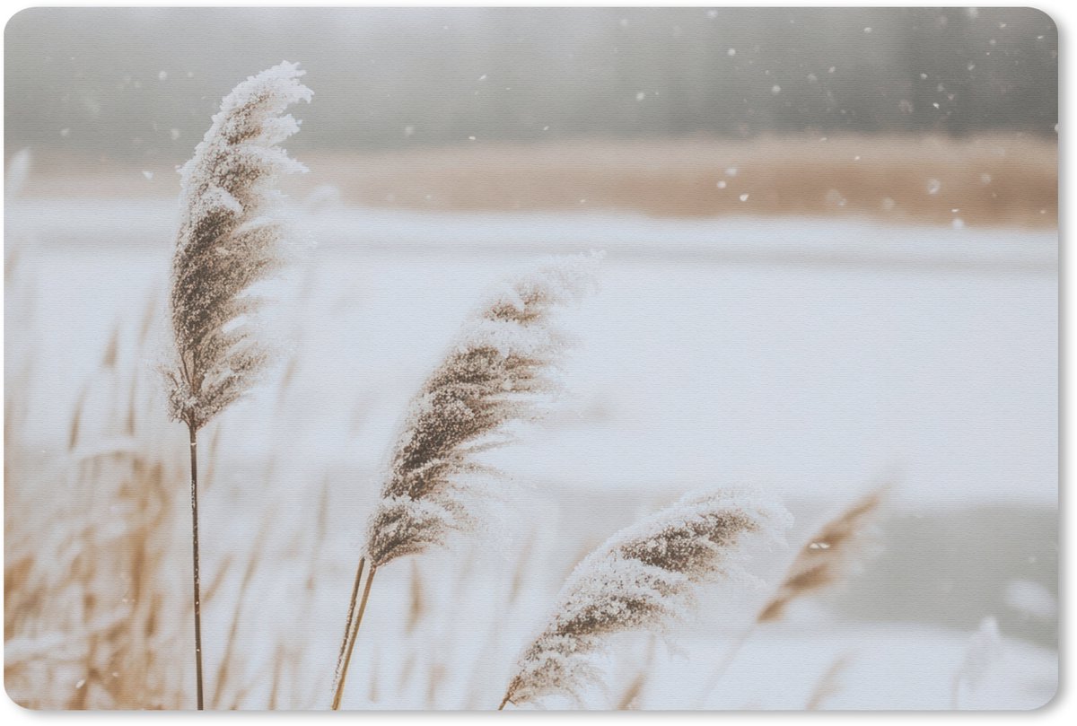 Muismat 27x18 cm - Mousepad Riet - Meer - Winter - Natuur - Sneeuw - Beige - Muismatten