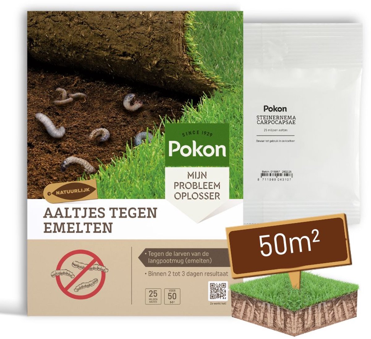 Pokon Aaltjes tegen Emelten - 25 miljoen Aaltjes voor 50m² gazon - Natuurlijke emeltenbestrijding - Resultaat binnen 2 tot 3 dagen