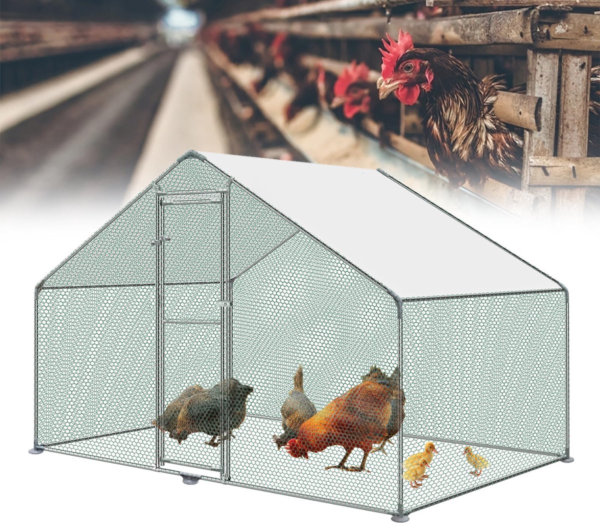 NAIZY Vrije uitloopren 3x2x2m volière kippenhok metaal 6m² pluimveekooien met zonwerend dak, kippenhek, deur & klink buitenren kippenhokken stabiele pluimveestallen voor kleine dieren & planten