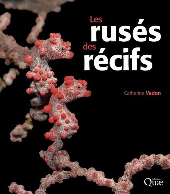Beaux livres - Les rusés des récifs