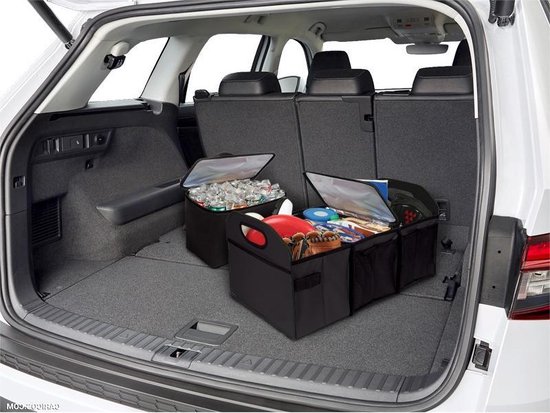 Twee zwarte organizers in de kofferbak van een auto.