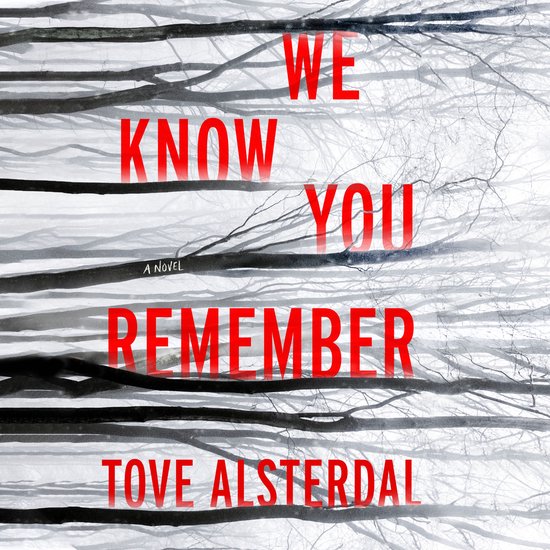 We Know You Remember - cover