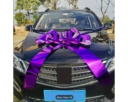 Grote paarse strik - auto strik - decoratie strik