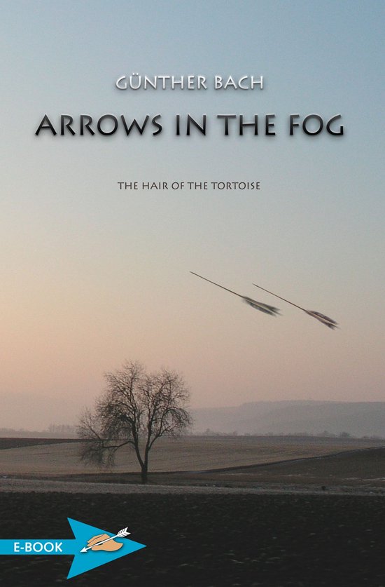 Arrows In The Fog - cover