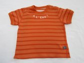 petit bateau , jongens , t-shirt korte mouw , streepje orange , 12 maand 74
