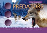 3-D Explorer