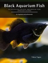 Black Aquarium Fish