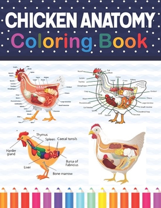 Chicken Anatomy Coloring Book - cover