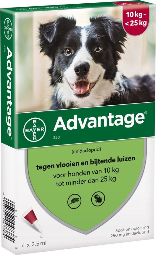 Bayer Advantage 250 Vlooiendruppels Hond 10-25 kg - 4 Pipetten