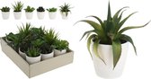 Kunstplant - Plant In Pot - 6 verschillende Stijlen - 15 cm
