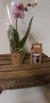 Soap & Gifts - Kadoset - Giftset - 2 delig - Ocean