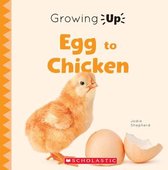 Egg to Chicken (Growing Up) (Library Edition)