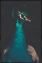 JUNIQE - Poster in kunststof lijst Peacock And Proud -30x45 /Ivoor &