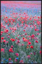 JUNIQE - Poster in kunststof lijst Poppy Seed Heaven -60x90 /Groen &