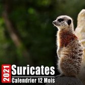 Calendrier 2021 Suricates