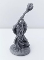3D Printed Miniature - Mage Male 01 - Dungeons & Dragons - Hero of the Realm KS