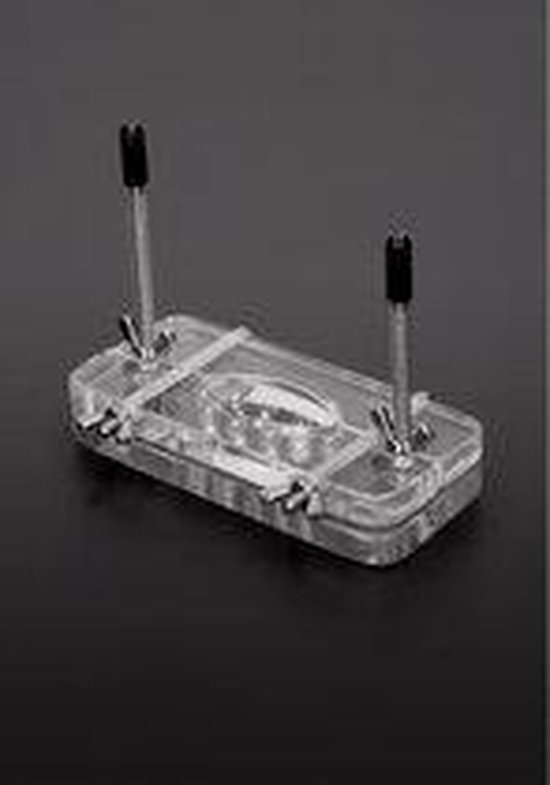 Acrylic Ball Butcher with Spikes bol