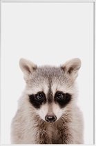 JUNIQE - Poster in kunststof lijst Raccoon -40x60 /Grijs & Zwart