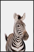 JUNIQE - Poster met kunststof lijst Zebra -13x18 /Wit & Zwart