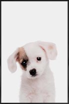 JUNIQE - Poster met kunststof lijst Puppy -13x18 /Bruin & Wit