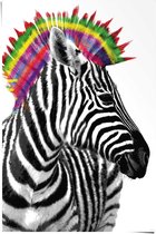 Poster Zebra punker
