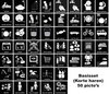Afbeelding van het spelletje Magnetische picto's | Startpakket Basis (korte haren) | Planbord + 50 picto's + bewaarblik