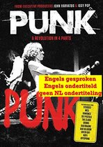 Punk [DVD]