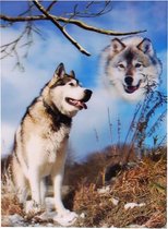 S.Y.W Poster - Wolven - Multicolor