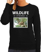 Dieren foto sweater Luiaard - zwart - dames - wildlife of the world - cadeau trui Luiaarden liefhebber XS