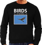 Dieren foto sweater Havik - zwart - heren - birds of the world - cadeau trui Havik roofvogels liefhebber L