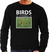 Dieren foto sweater Grutto - zwart - heren - birds of the world - cadeau trui vogel liefhebber 2XL