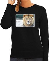 Dieren sweater leeuwen foto - zwart - dames - Afrikaanse dieren/ leeuw cadeau trui - kleding/ sweat shirt M