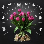 Boeket van 25 Prachtige roze tulpen met bol - van BOLT Amsterdam - Vers, direct uit eigen kwekerij - Met de hand gebonden - Gratis thuis bezorgd- Exclusieve kwaliteit