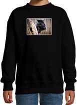 Dieren sweater met panters foto - zwart - voor kinderen - natuur / zwarte panter cadeau trui - sweat shirt / kleding 9-11 jaar (134/146)