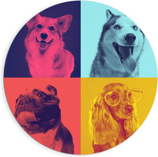 Dibond Wandcirkel - Verschillende soorten Honden in Gekleurde Vakken - 90x90cm Foto op Aluminium Wandcirkel (met ophangsysteem)