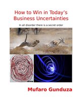 blue sky series - How to Win in Today's Business Uncertainties