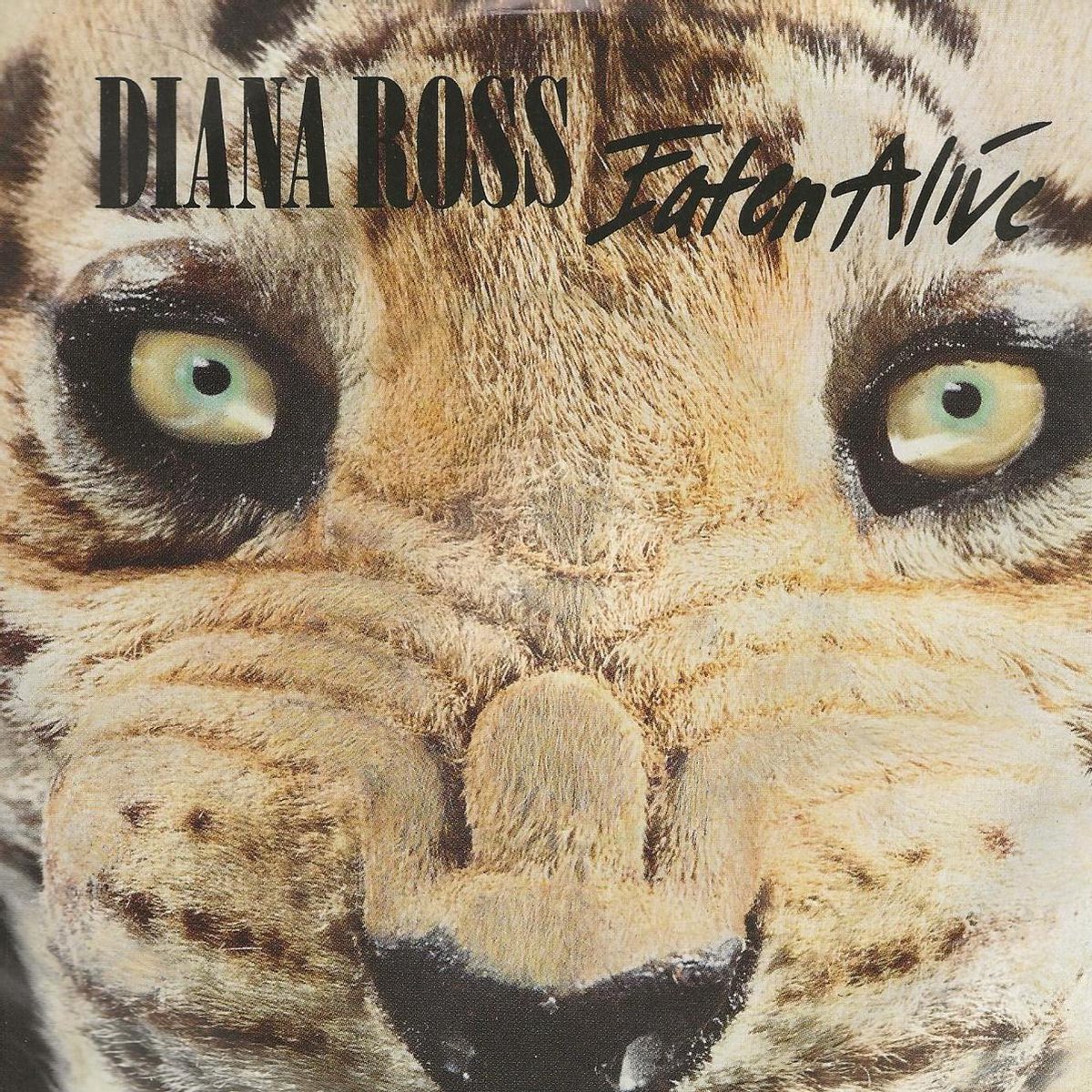 Eaten Alive