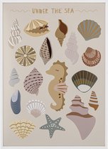 Bloomingville - Adile Frame - Under the Sea Ingelijste Poster Schelpen en Zeedieren