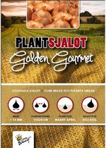 Plantsjalotten Golden Gourmet 500g