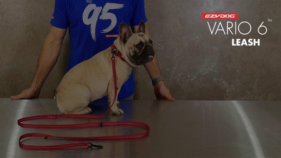 Ezydog vario shop 6 lite