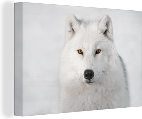 Canvas Schilderij Witte wolf op witte achtergrond - 90x60 cm - Wanddecoratie