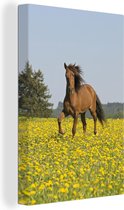 Canvas Schilderij Paarden - Bloemen - Geel - 40x60 cm - Wanddecoratie