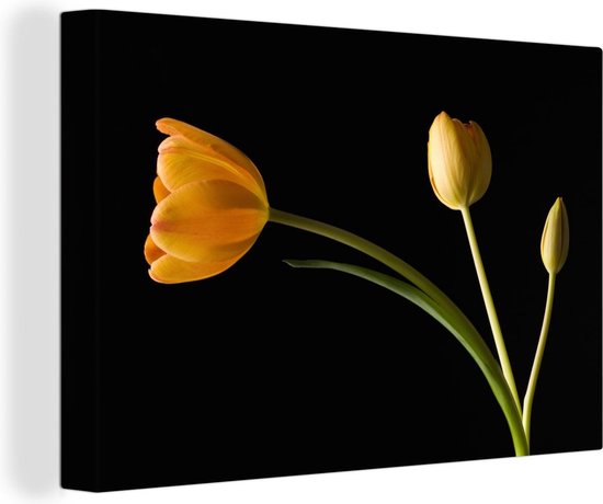 Canvas Schilderij Gele tulpen met een zwarte achtergrond - 90x60 cm - Wanddecoratie