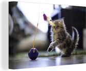 Canvas Schilderij Kitten met kattenspeeltje - 60x40 cm - Wanddecoratie