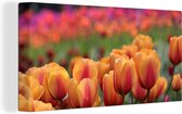 Canvas Schilderij De oranje tulpen in het voorjaar - 80x40 cm - Wanddecoratie